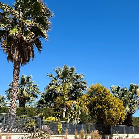 Apartamento Hermosa Glea Campoamor Extérieur photo