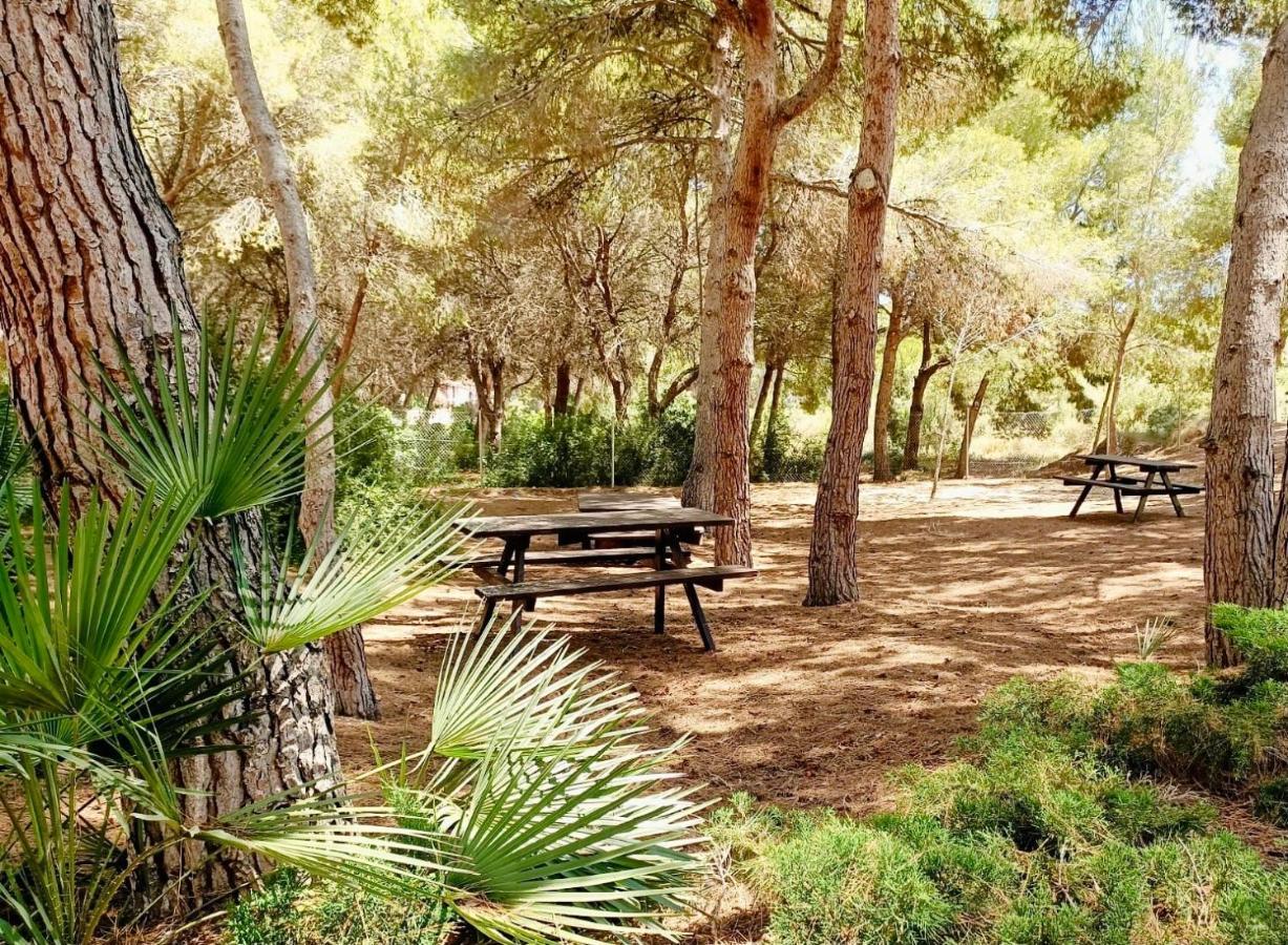 Apartamento Hermosa Glea Campoamor Extérieur photo